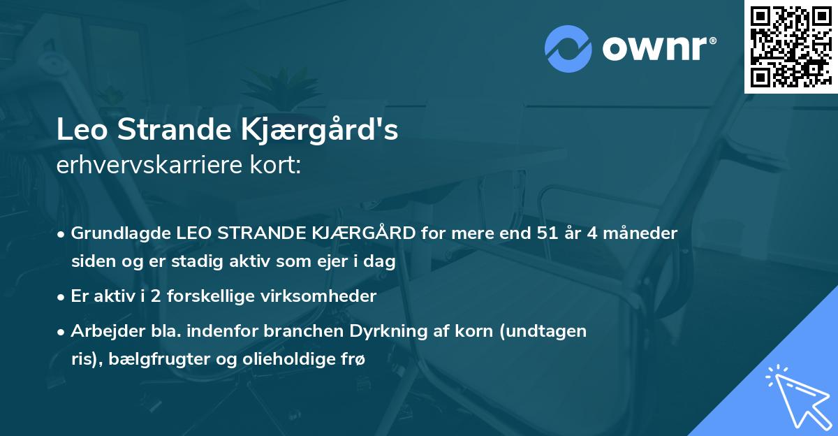 Leo Strande Kjærgård's erhvervskarriere kort