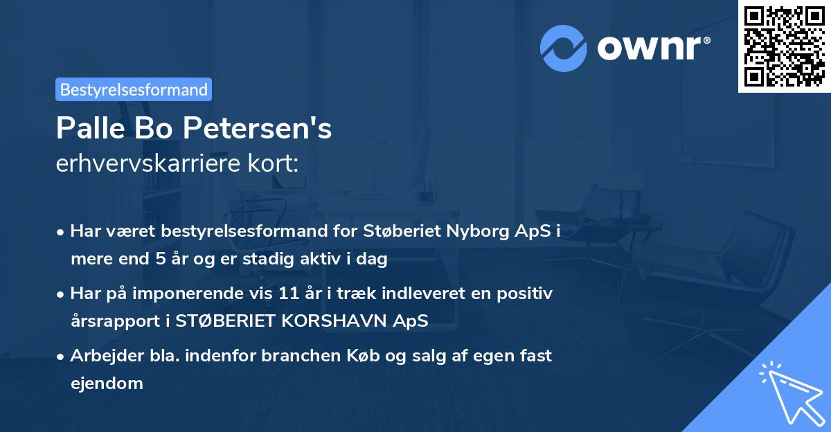 Palle Bo Petersen's erhvervskarriere kort