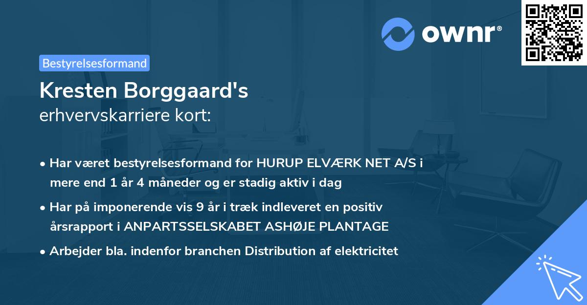 Kresten Borggaard's erhvervskarriere kort