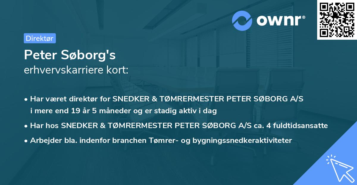 Peter Søborg's erhvervskarriere kort
