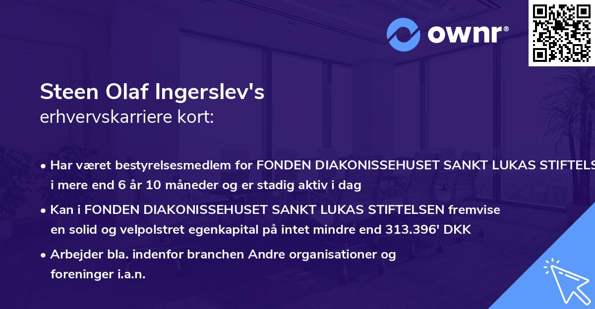 Steen Olaf Ingerslev's erhvervskarriere kort