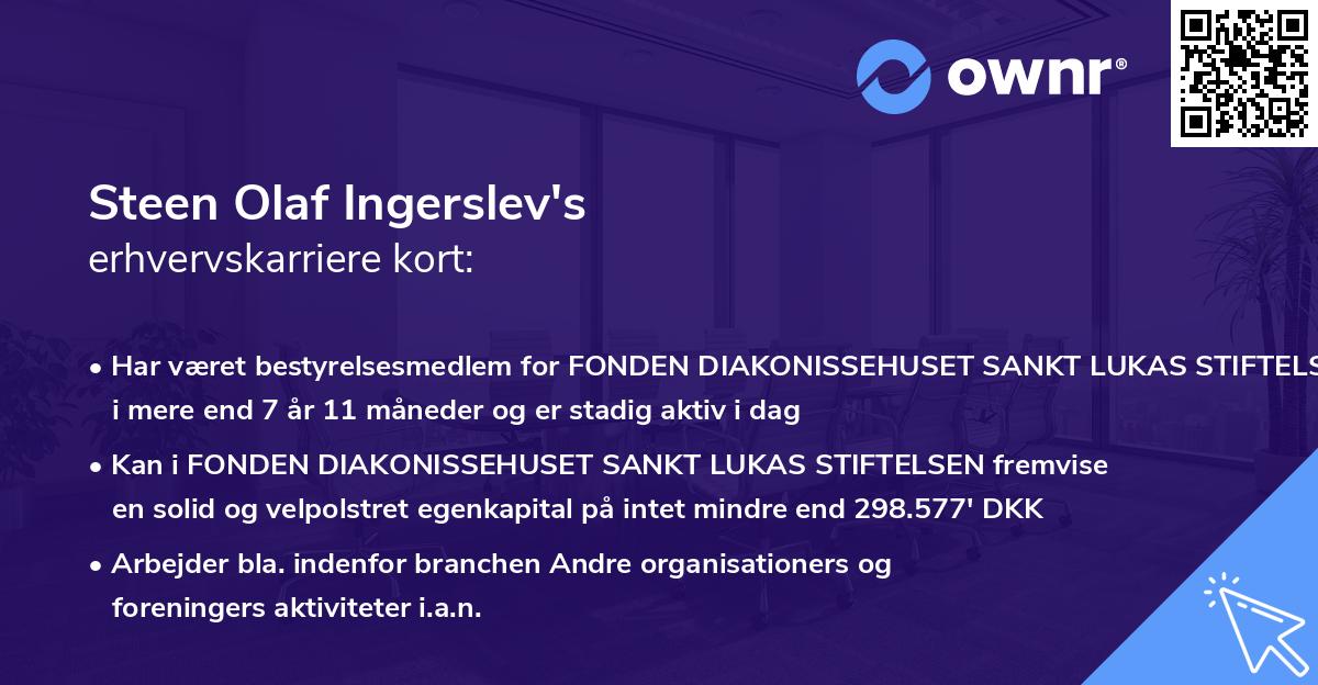 Steen Olaf Ingerslev's erhvervskarriere kort
