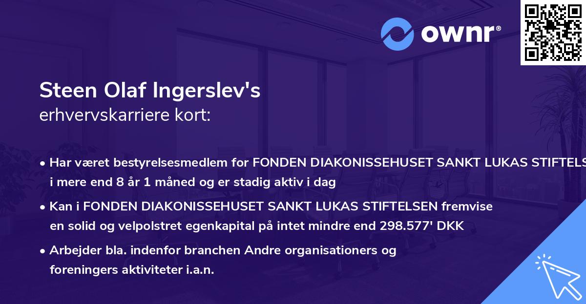 Steen Olaf Ingerslev's erhvervskarriere kort