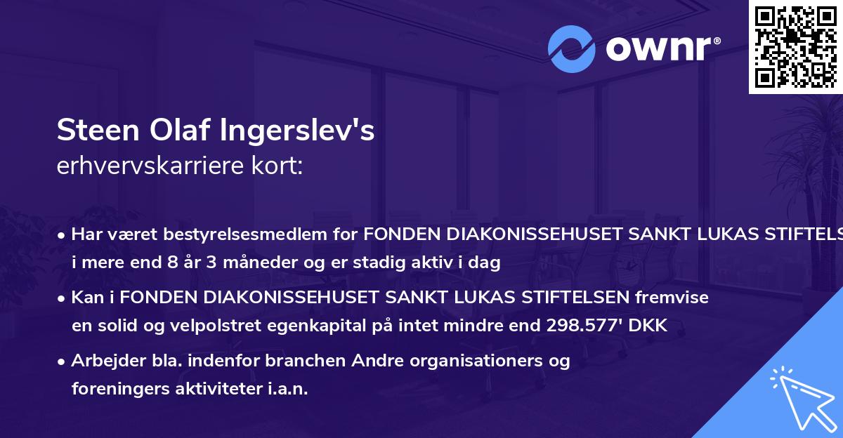 Steen Olaf Ingerslev's erhvervskarriere kort