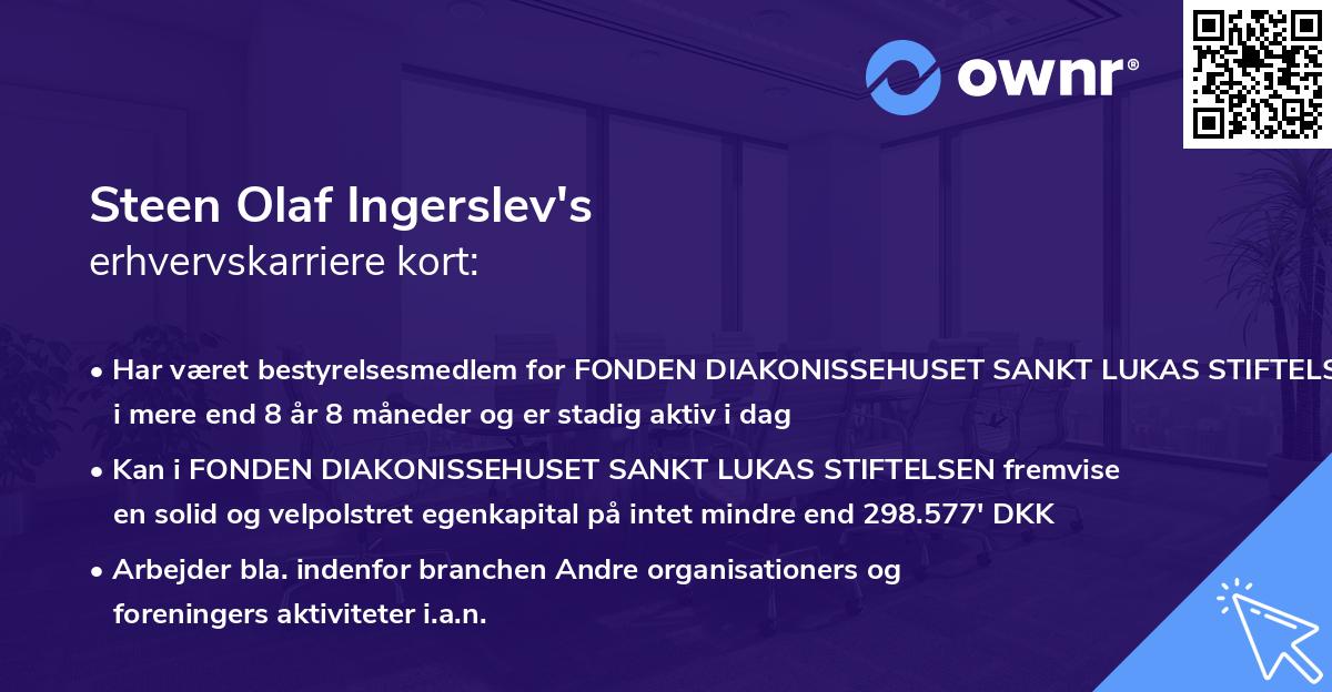 Steen Olaf Ingerslev's erhvervskarriere kort