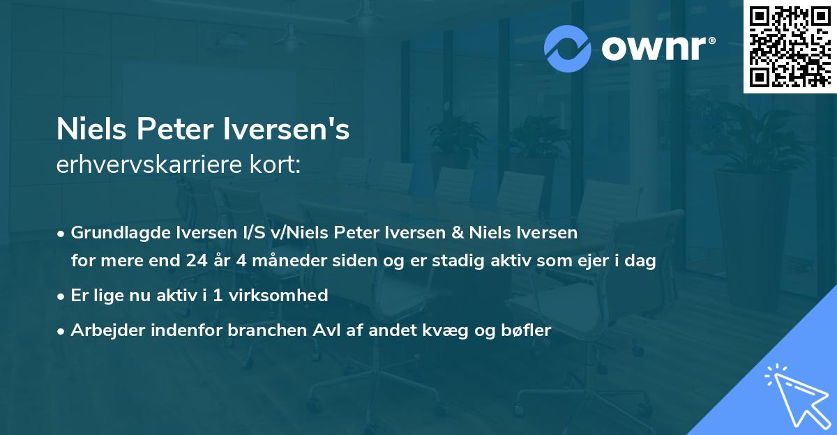 Niels Peter Iversen's erhvervskarriere kort