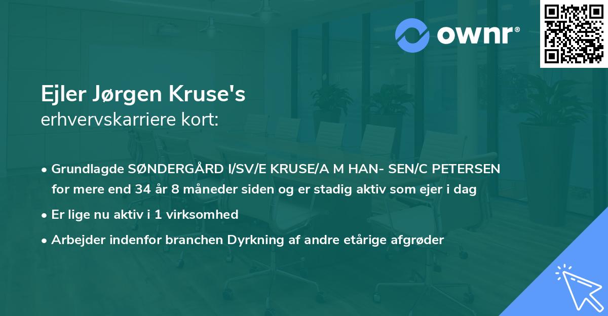 Ejler Jørgen Kruse's erhvervskarriere kort