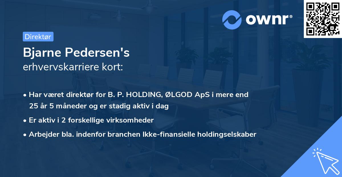 Bjarne Pedersen's erhvervskarriere kort
