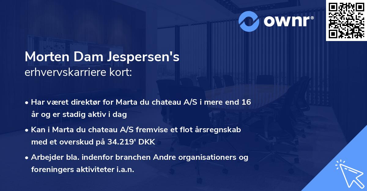 Morten Dam Jespersen's erhvervskarriere kort