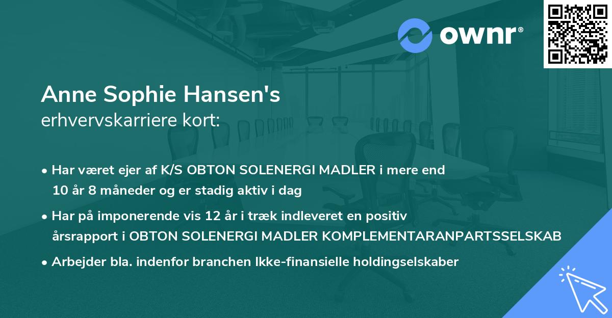 Anne Sophie Hansen's erhvervskarriere kort
