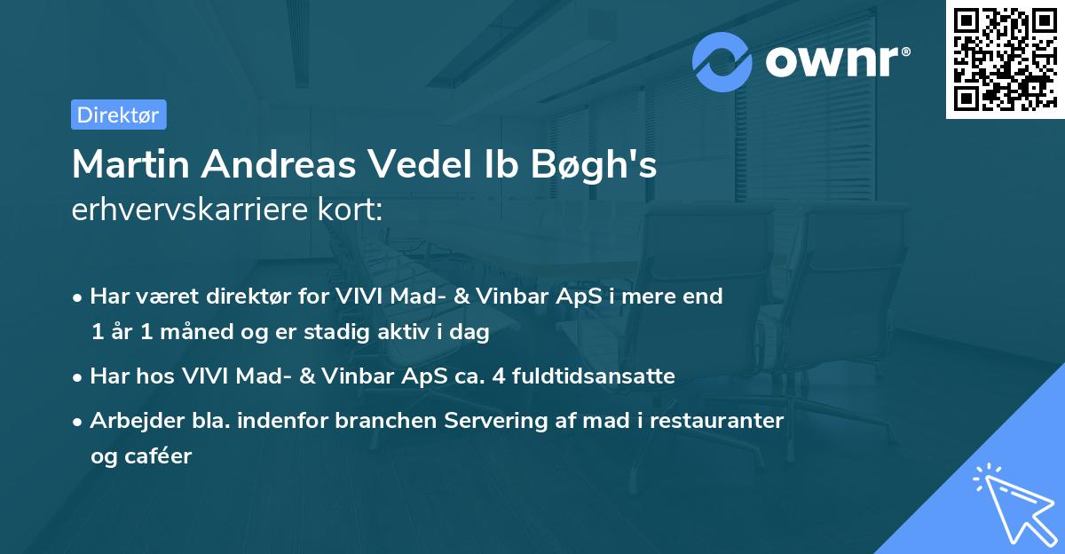 Martin Andreas Vedel Ib Bøgh's erhvervskarriere kort