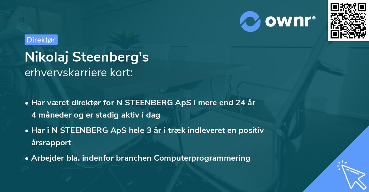 Nikolaj Steenberg's erhvervskarriere kort