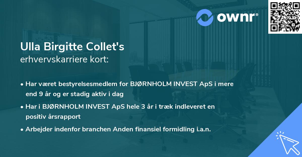 Ulla Birgitte Collet's erhvervskarriere kort