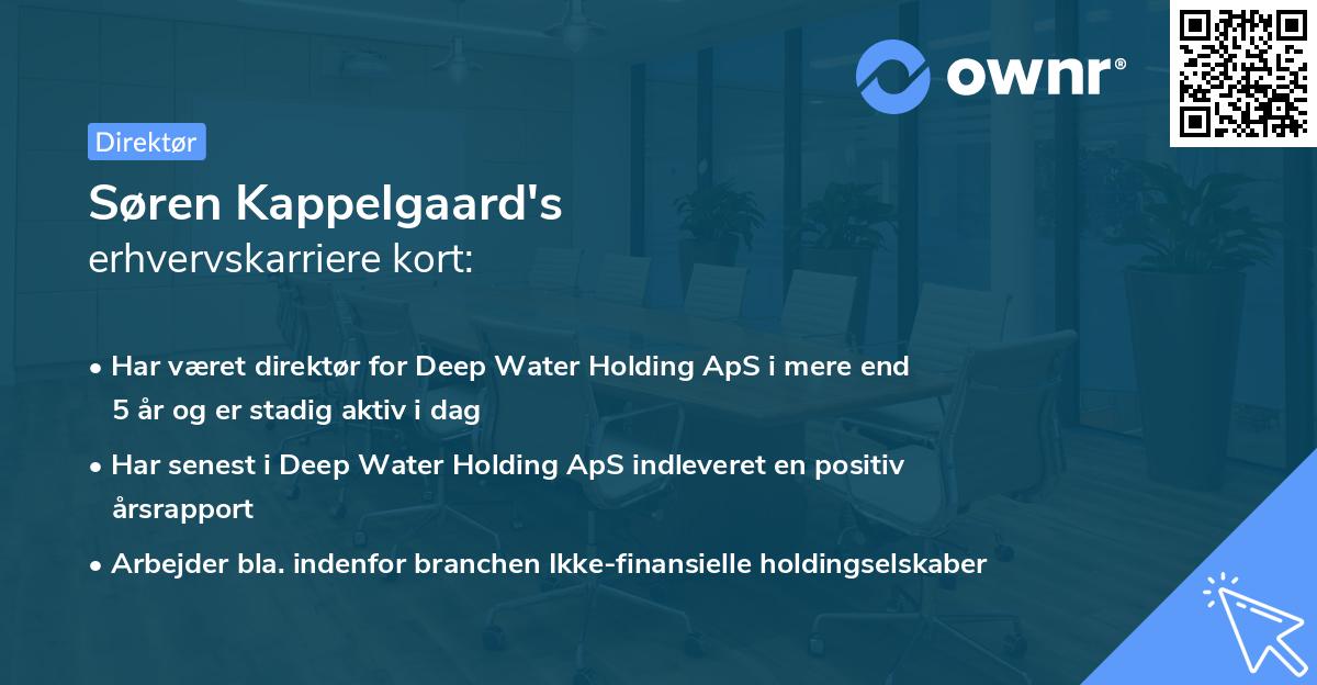 Søren Kappelgaard's erhvervskarriere kort