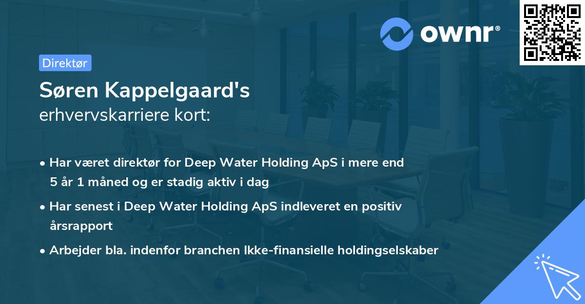 Søren Kappelgaard's erhvervskarriere kort