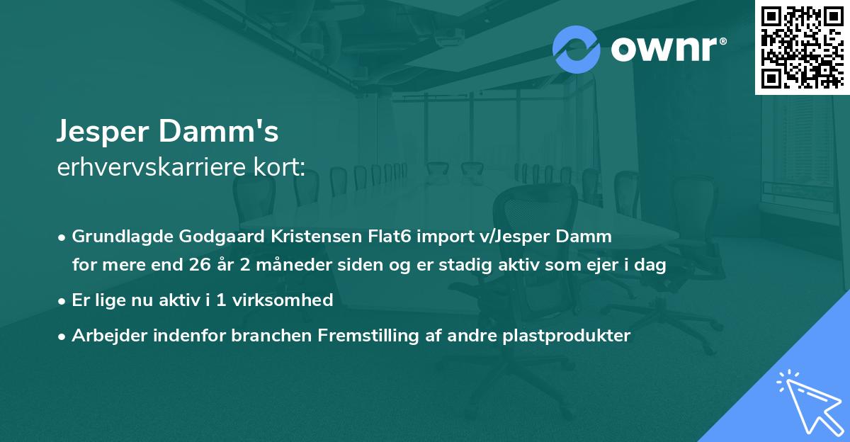 Jesper Damm's erhvervskarriere kort