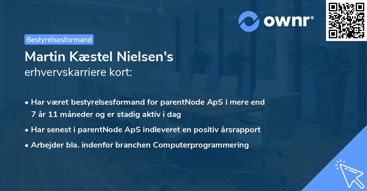 Martin Kæstel Nielsen's erhvervskarriere kort