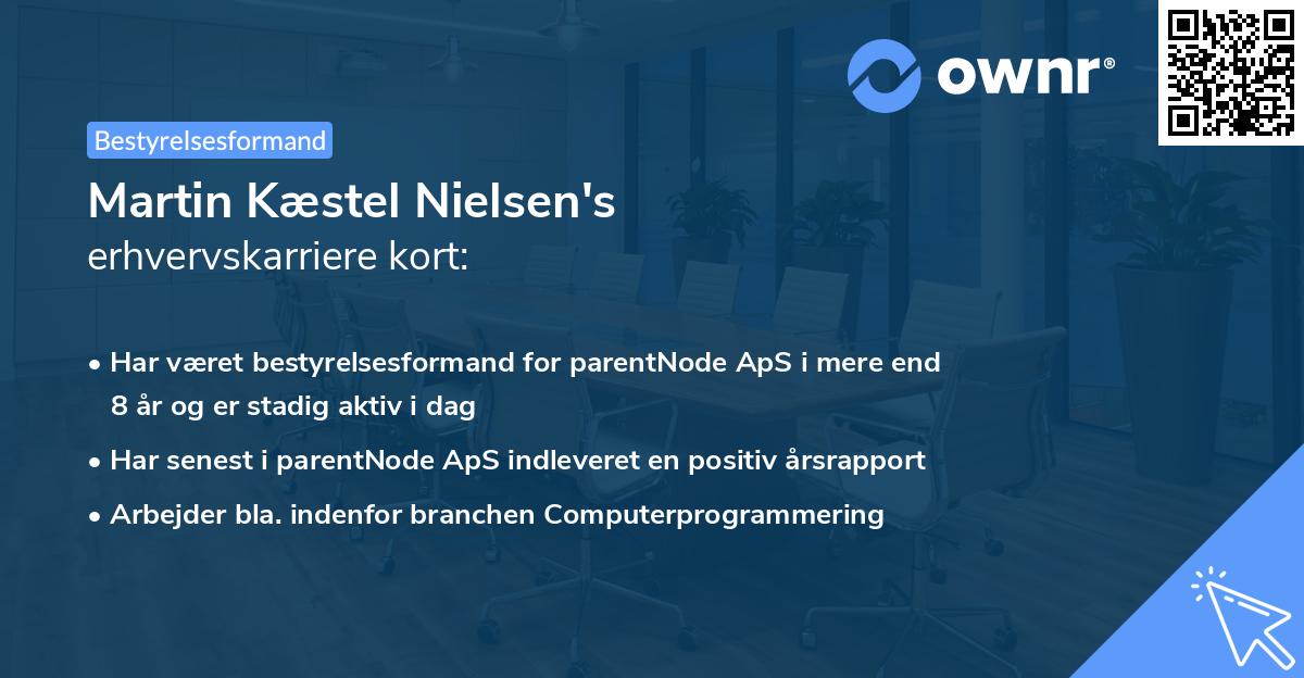 Martin Kæstel Nielsen's erhvervskarriere kort