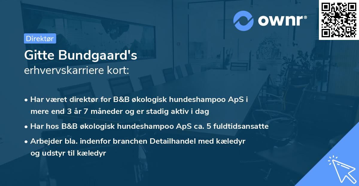 Gitte Bundgaard's erhvervskarriere kort