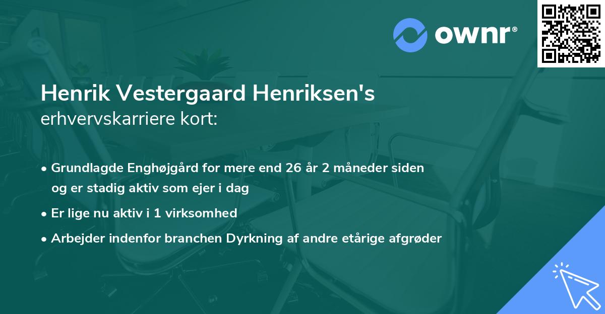 Henrik Vestergaard Henriksen's erhvervskarriere kort