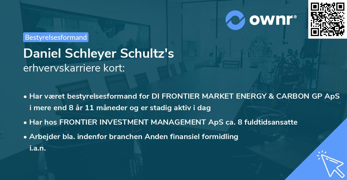 Daniel Schleyer Schultz's erhvervskarriere kort
