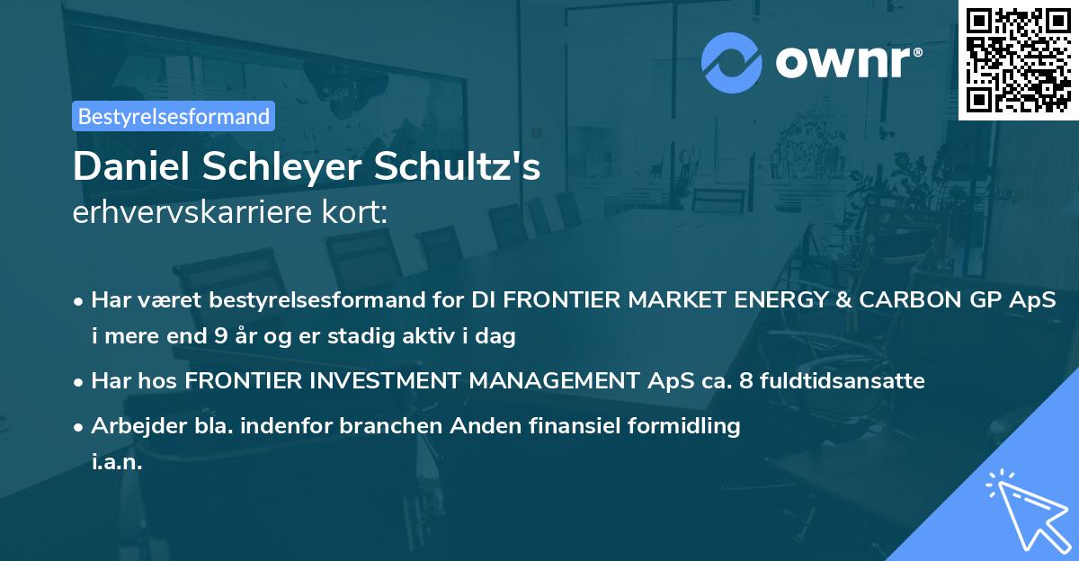 Daniel Schleyer Schultz's erhvervskarriere kort