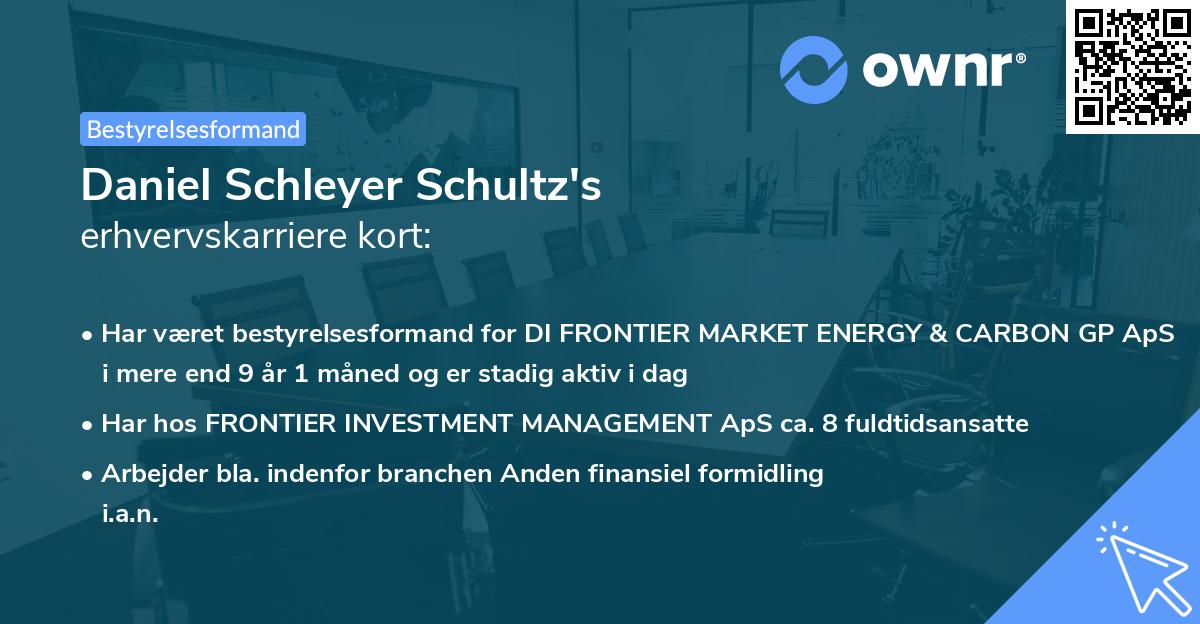 Daniel Schleyer Schultz's erhvervskarriere kort