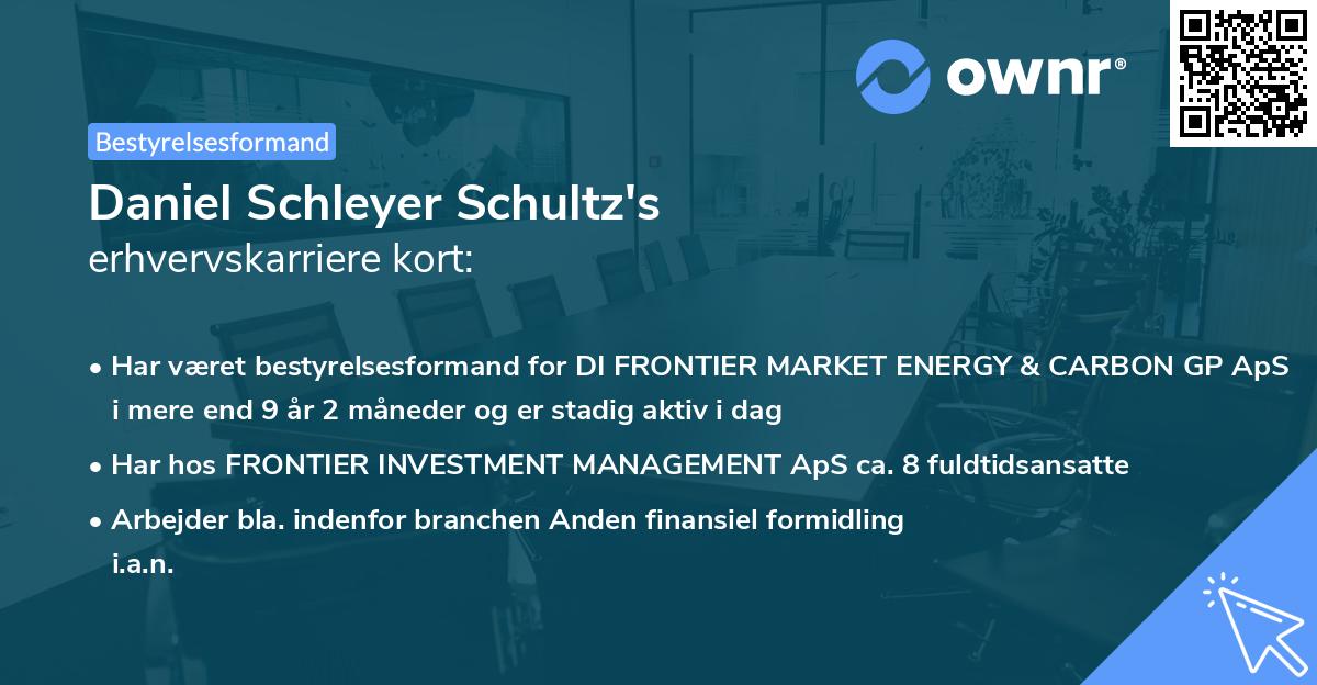 Daniel Schleyer Schultz's erhvervskarriere kort