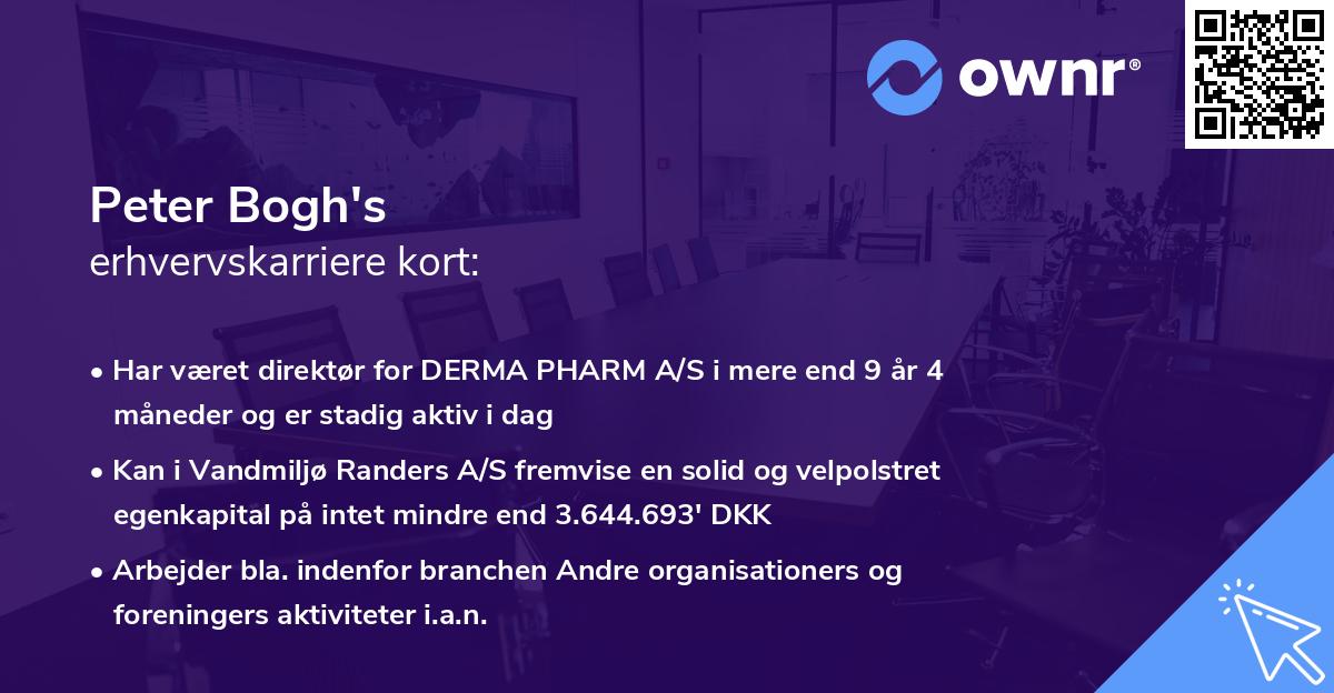 Peter Bogh's erhvervskarriere kort