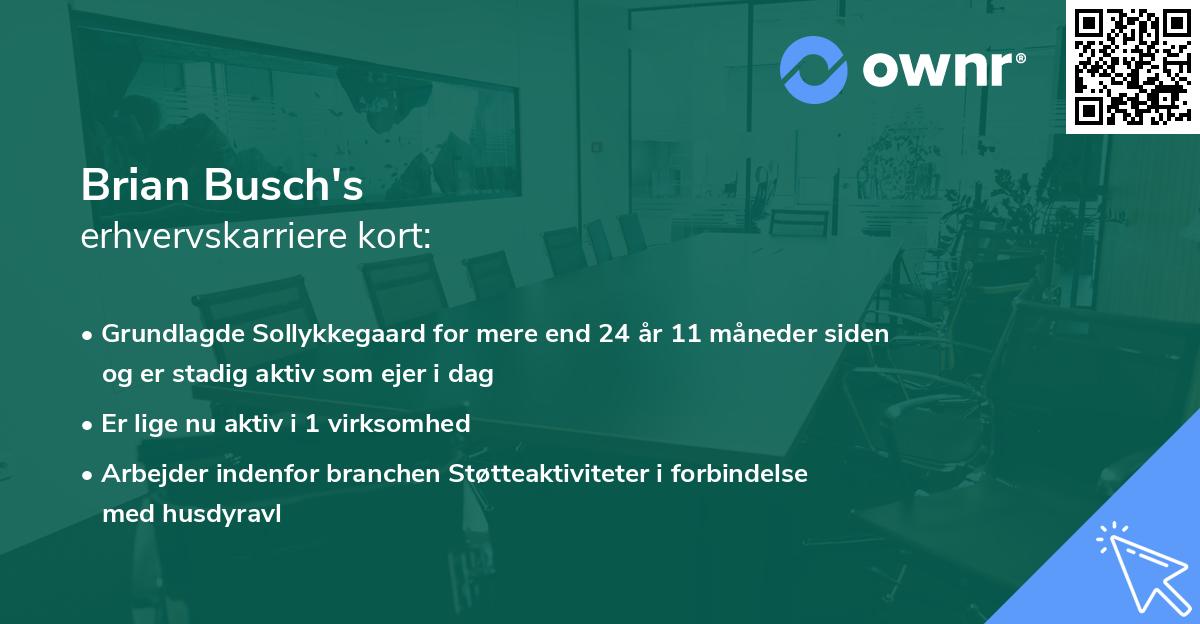 Brian Busch's erhvervskarriere kort