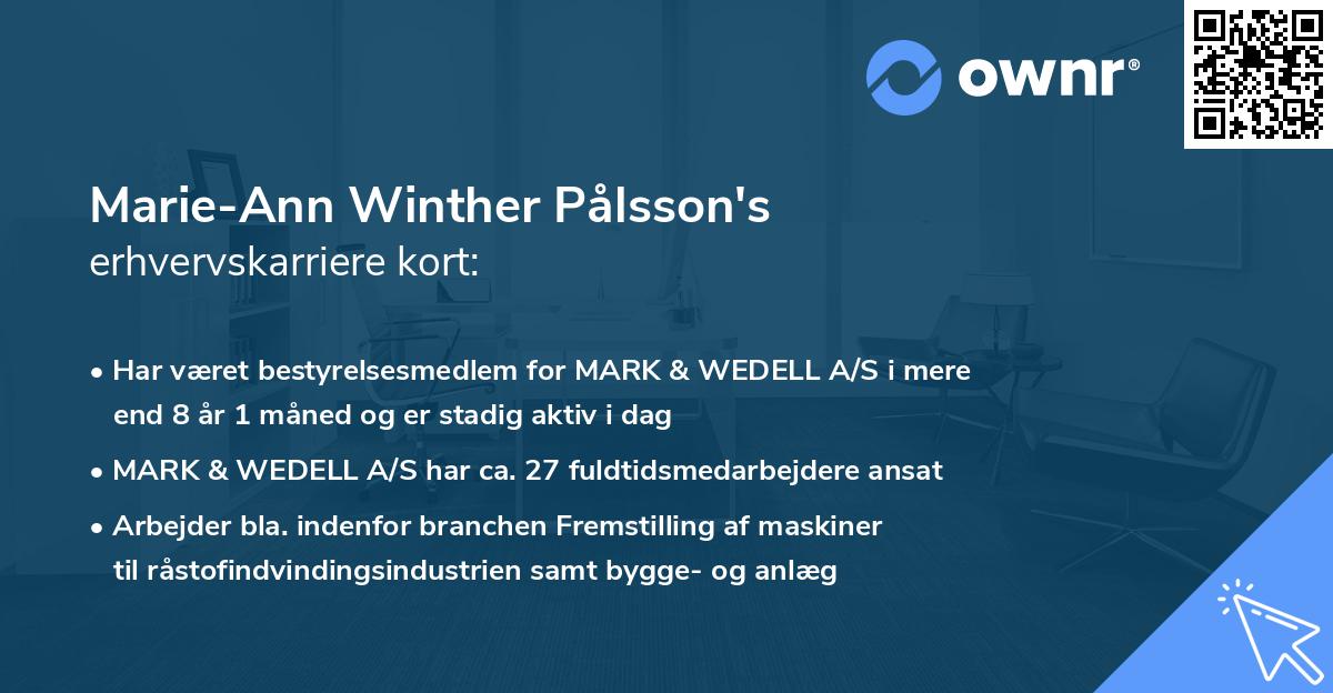 Marie-Ann Winther Pålsson's erhvervskarriere kort