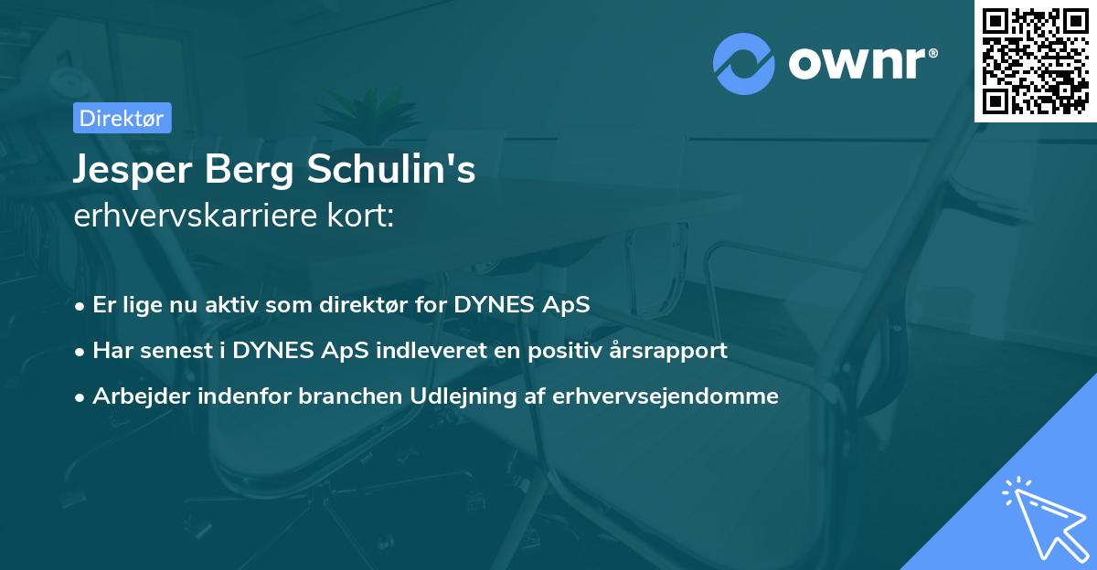 Jesper Berg Schulin's erhvervskarriere kort