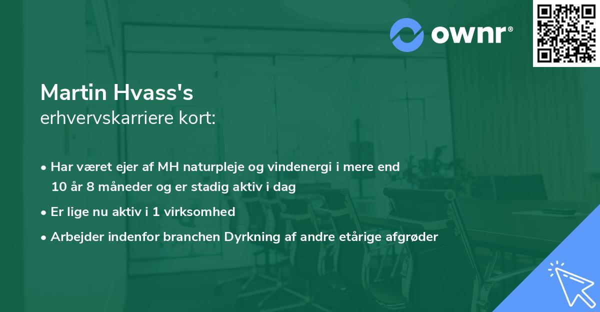 Martin Hvass's erhvervskarriere kort