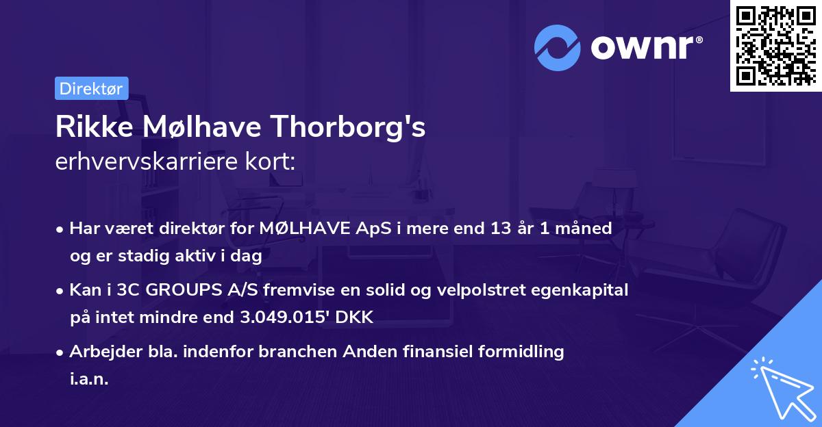Rikke Mølhave Thorborg's erhvervskarriere kort