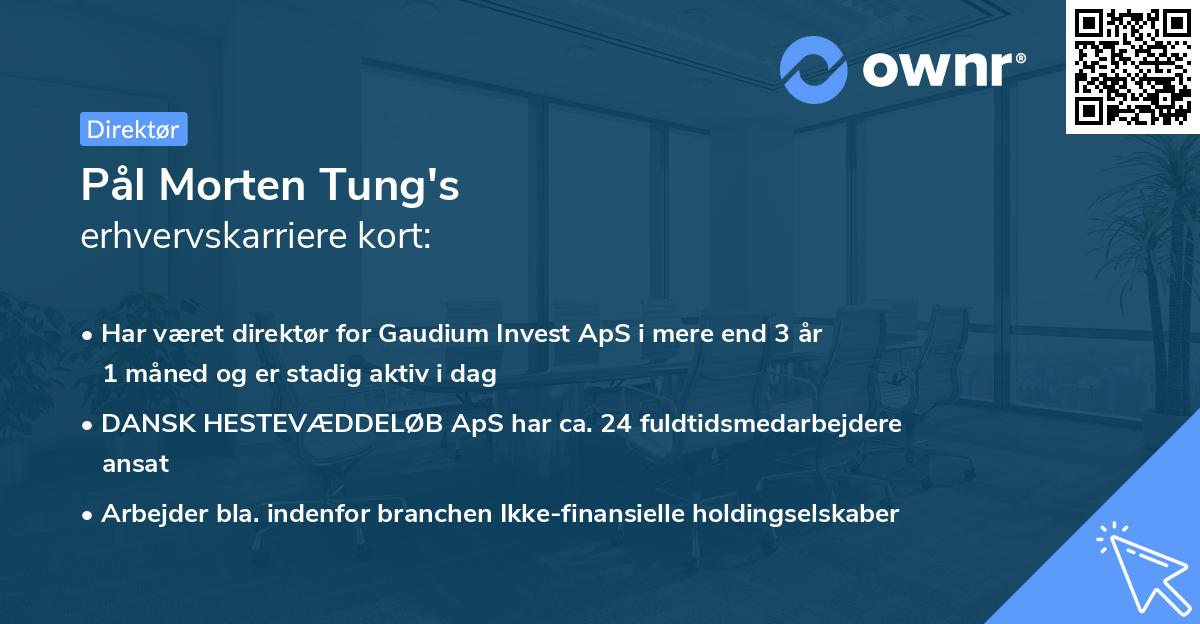 Pål Morten Tung's erhvervskarriere kort