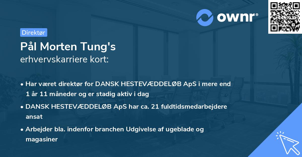 Pål Morten Tung's erhvervskarriere kort