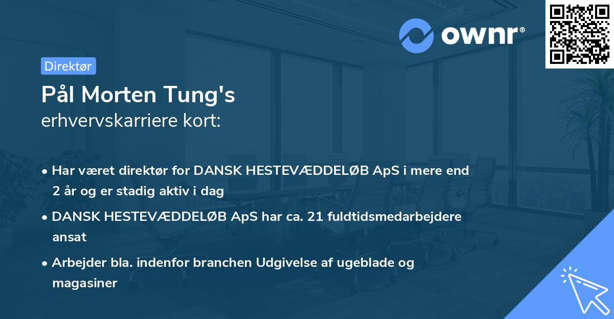 Pål Morten Tung's erhvervskarriere kort