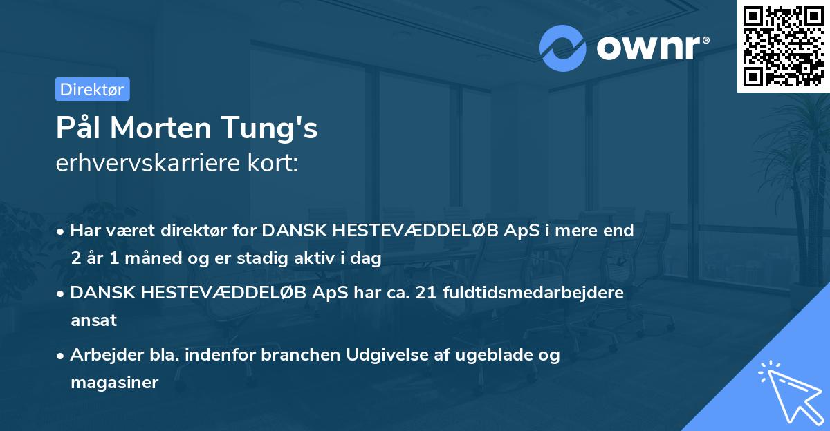Pål Morten Tung's erhvervskarriere kort
