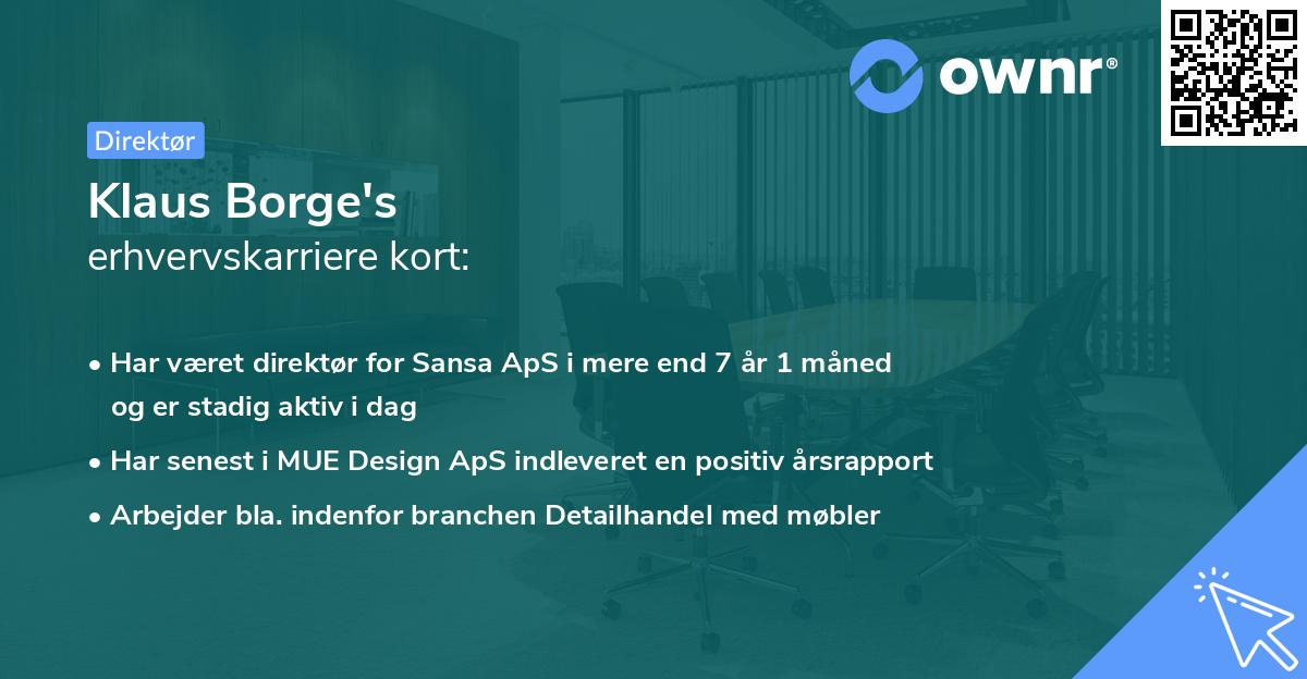 Klaus Borge's erhvervskarriere kort