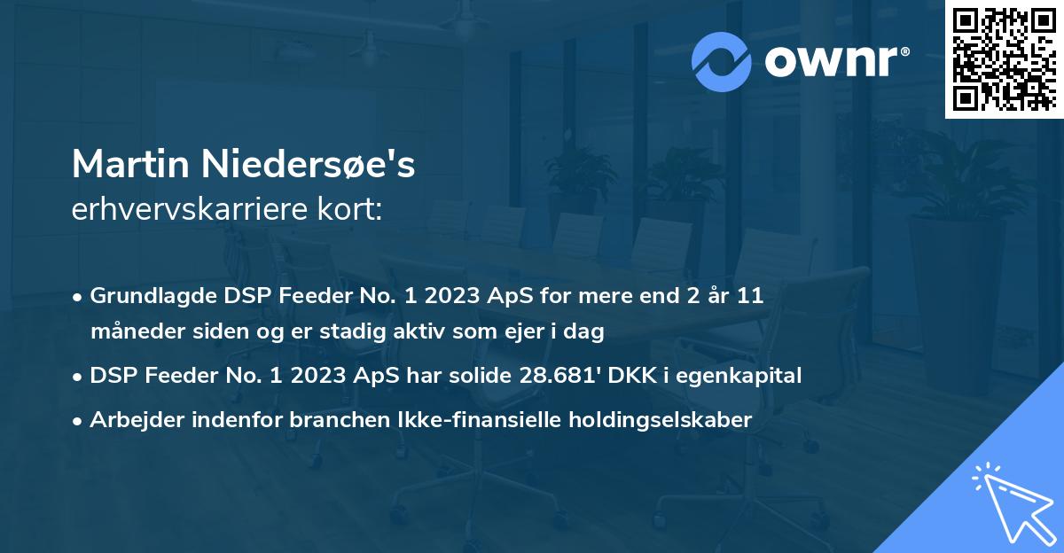 Martin Niedersøe's erhvervskarriere kort