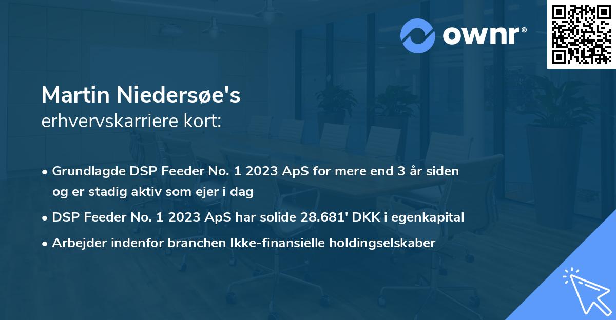 Martin Niedersøe's erhvervskarriere kort