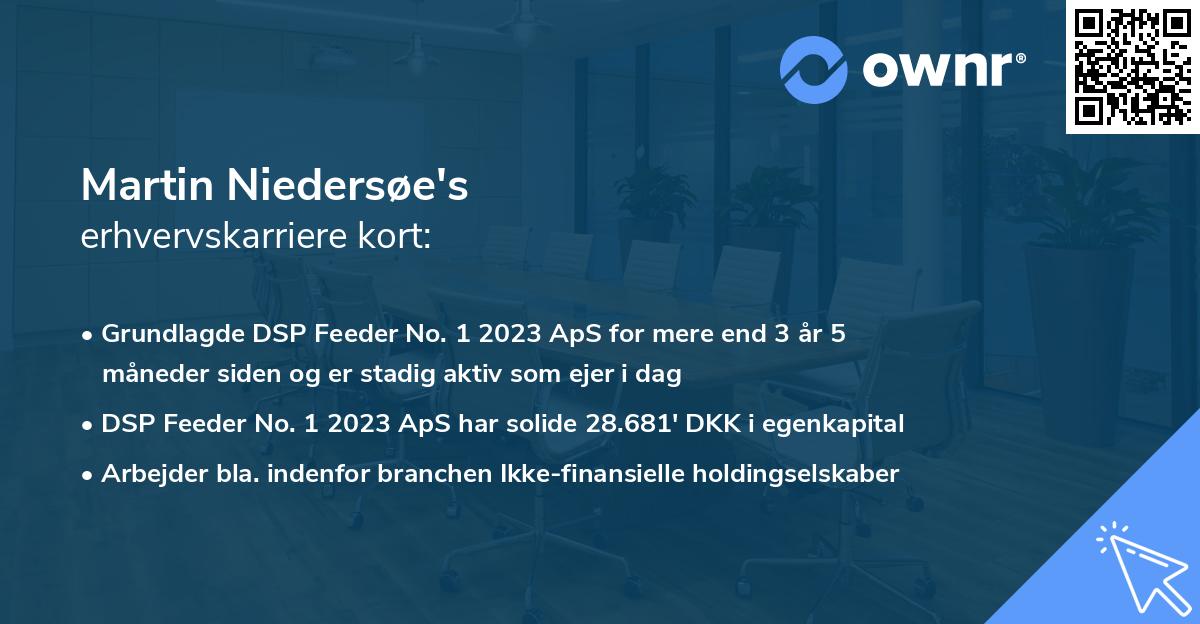 Martin Niedersøe's erhvervskarriere kort