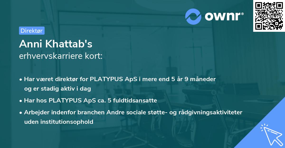 Anni Khattab's erhvervskarriere kort