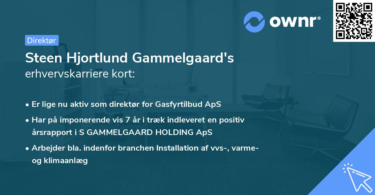 Steen Hjortlund Gammelgaard's erhvervskarriere kort