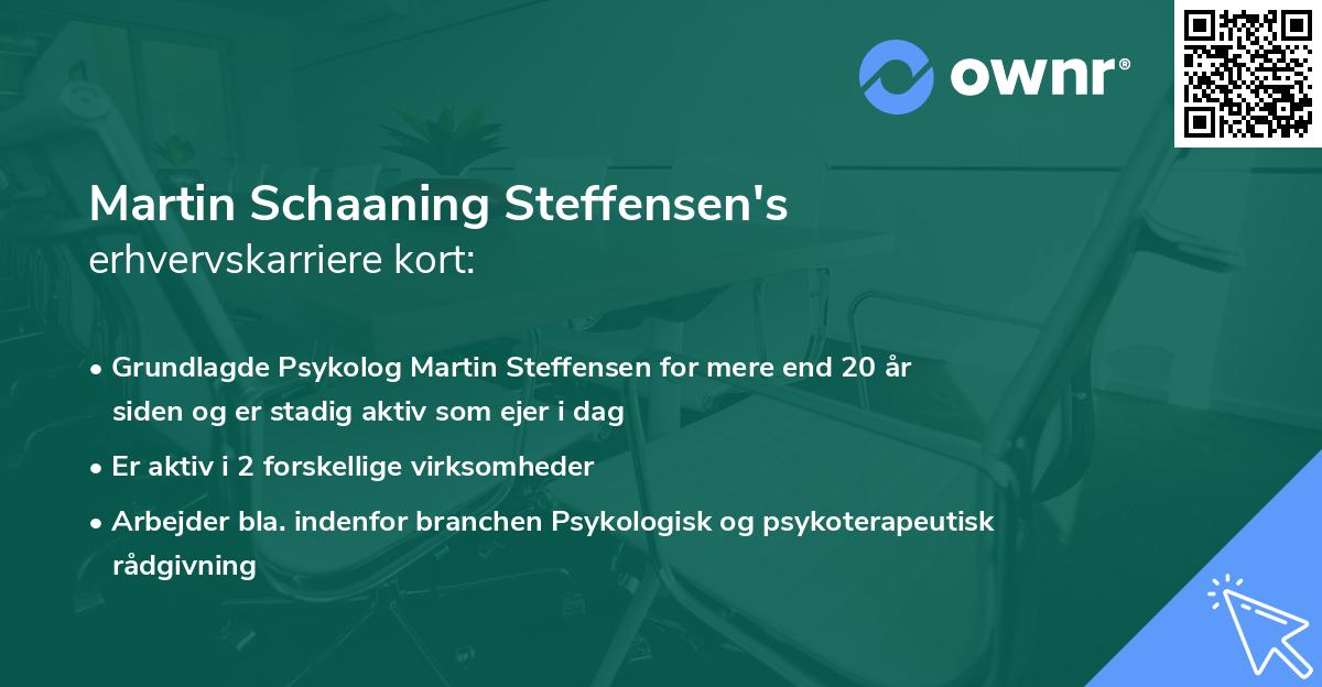Martin Schaaning Steffensen's erhvervskarriere kort