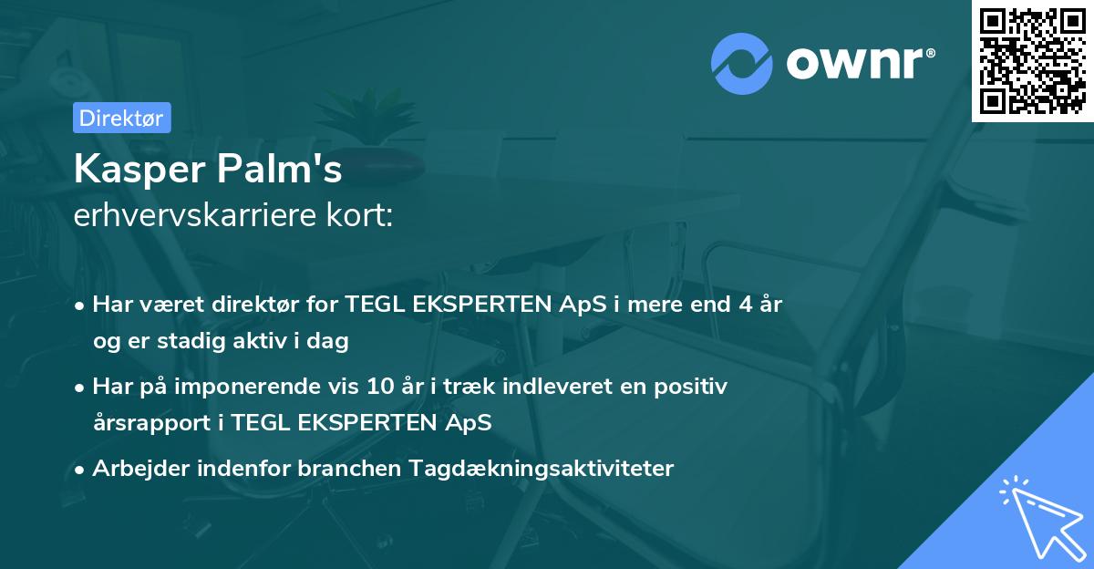 Kasper Palm's erhvervskarriere kort