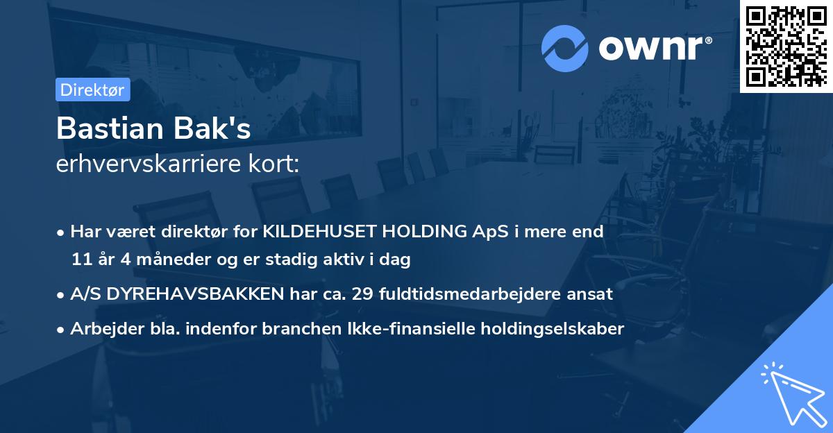 Bastian Bak's erhvervskarriere kort