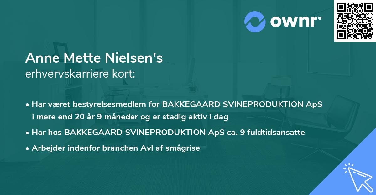 Anne Mette Nielsen's erhvervskarriere kort