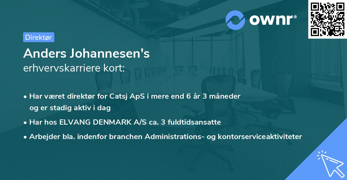 Anders Johannesen's erhvervskarriere kort