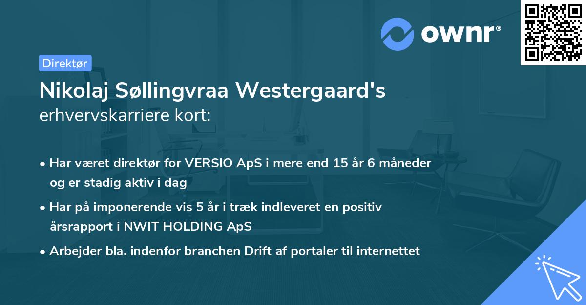 Nikolaj Søllingvraa Westergaard's erhvervskarriere kort